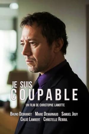 Poster Je suis coupable 2017