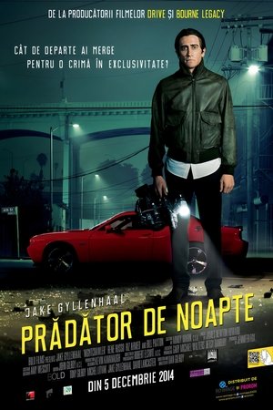 Poster Prădător de noapte 2014