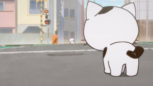 Uchitama! Have you seen my Tama?: 1×1