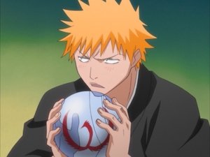 Bleach: 1×24