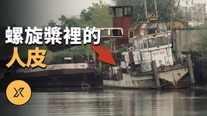 Episode 248 on X调查 Season 1 Episode 248 – December 26, 2023