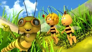 Maya the Bee: 3×11