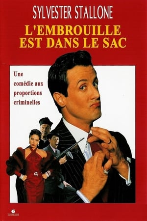 L'Embrouille est Dans le Sac (1991)