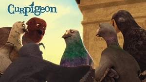 Curpigeon film complet