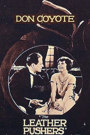 Poster Don Coyote (1923)