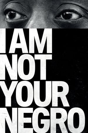 Poster I Am Not Your Negro (2017)