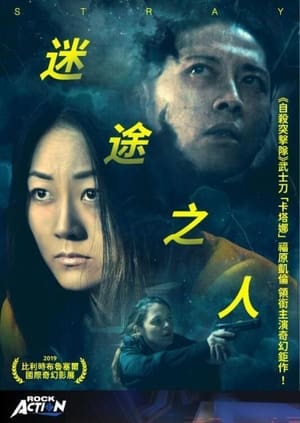 Poster 迷途之人 2019