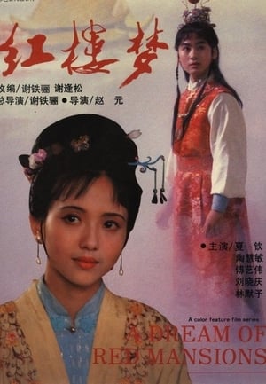 Poster 红楼梦 1989