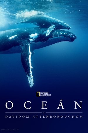 poster Ocean with David Attenborough