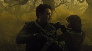 Images posters