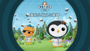 Octonauts: 8×12