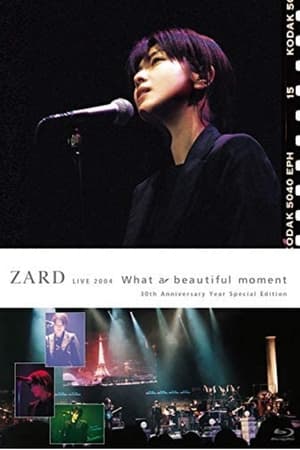 Image ZARD LIVE 2004 多么美好的一刻 30周年特别版