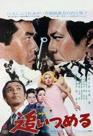 Poster 追いつめる 1972