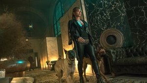 John Wick 3 Parabellum Película Completa HD 1080p [MEGA] [LATINO] 2019