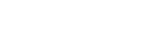 Kurs mod fjerne kyster