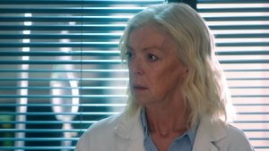Episode 2024