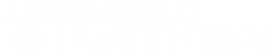 Dream Raider — Logos 2