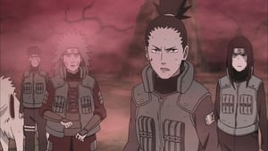 Naruto Shippuden: 14×305