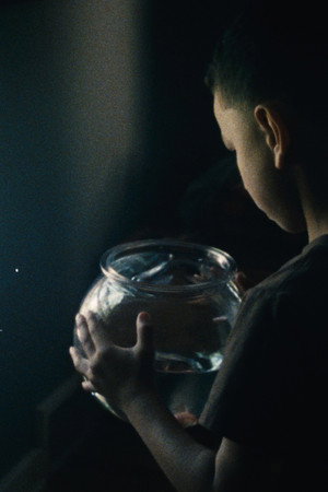 The Death of a Fish