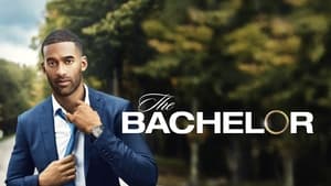 poster The Bachelor
