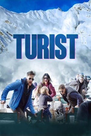 Poster Turist 2014