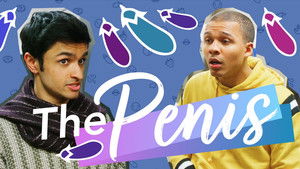 The Penis