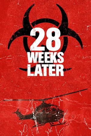 Постер фильма «28 недель спустя (2007)» — (45 из 110)