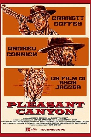 Poster Pleasant Canyon (2020)