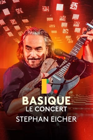 Image Stephan Eicher - Basique, le concert