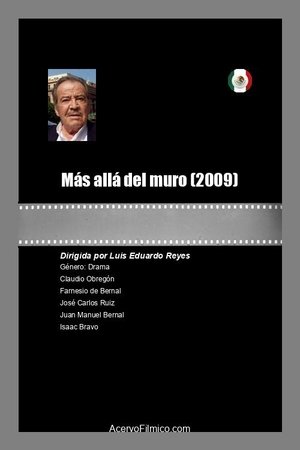 Poster Más allá del muro 2009