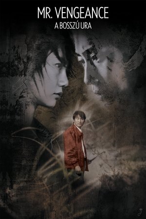 Image Mr. Vengeance – A bosszú ura