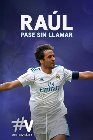 Poster Raúl, pase sin llamar (2014)