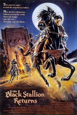 Image The Black Stallion Returns