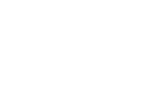 The Suicide Squad