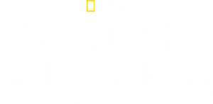 Storm Rising — Logos 7