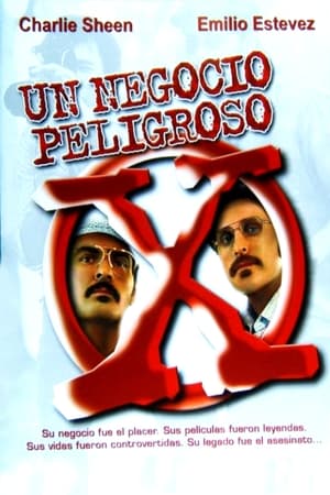 pelicula Un negocio peligroso (2000)