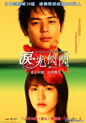 Poster 泪光闪闪 2006