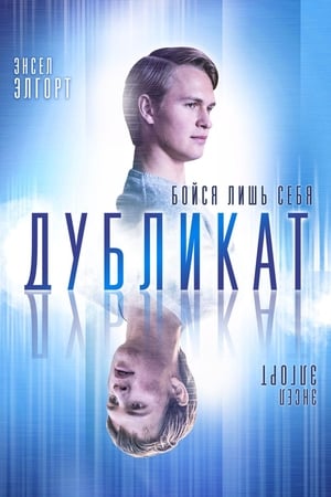 Poster Дубликат 2018