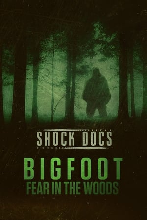 Poster Bigfoot: Fear in the Woods 2020