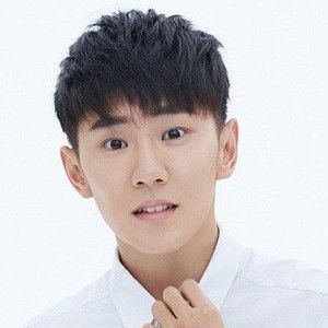 Wang Rui - Discover the TV Shows and Movies They Starred In