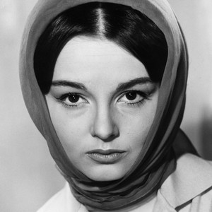 Ingrid Andree - Discover the TV Shows and Movies They Starred In