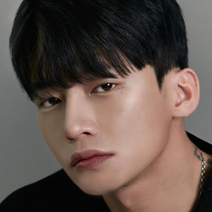 Kim Chan Kyu - Discover the TV Shows and Movies They Starred In