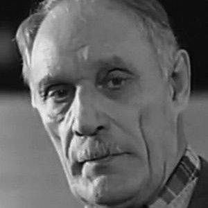 Viktor Shulgin - Discover the TV Shows and Movies They Starred In