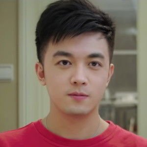 Jun Yuan Bai - Discover the TV Shows and Movies They Starred In