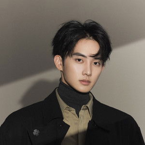 Chen Minghao - Discover the TV Shows and Movies They Starred In