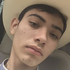 Alexandro Garcéz - Discover the TV Shows and Movies They Starred In