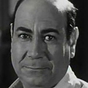 Hassan Fayek - Discover the TV Shows and Movies They Starred In