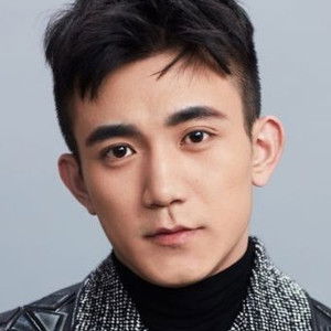 Tian Yifeng - Discover the TV Shows and Movies They Starred In
