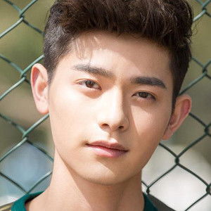 Luo Mingjie - Discover the TV Shows and Movies They Starred In