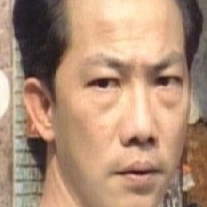 Lung Ying - Discover the TV Shows and Movies They Starred In